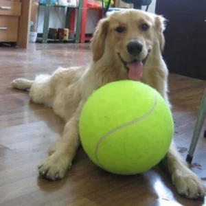 9.5'Giant Inflatable Tennis Ball For Dogs Chew Toy