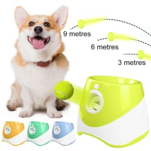 Interactive Catapult Ball Launcher for Dogs