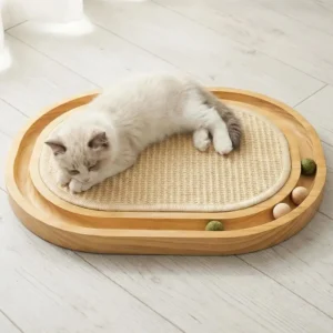 Cat Scratcher Toy with Ball Track,