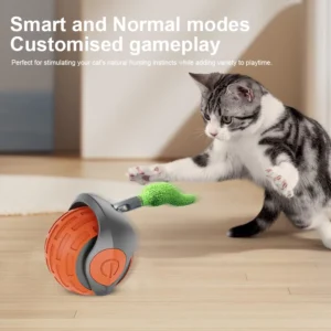 Cat or Dog Interactive Ball Toys